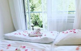 Apartmá (1500 m²), pokoje: 21, vlastní koupelny: 21, destinace: Říčky